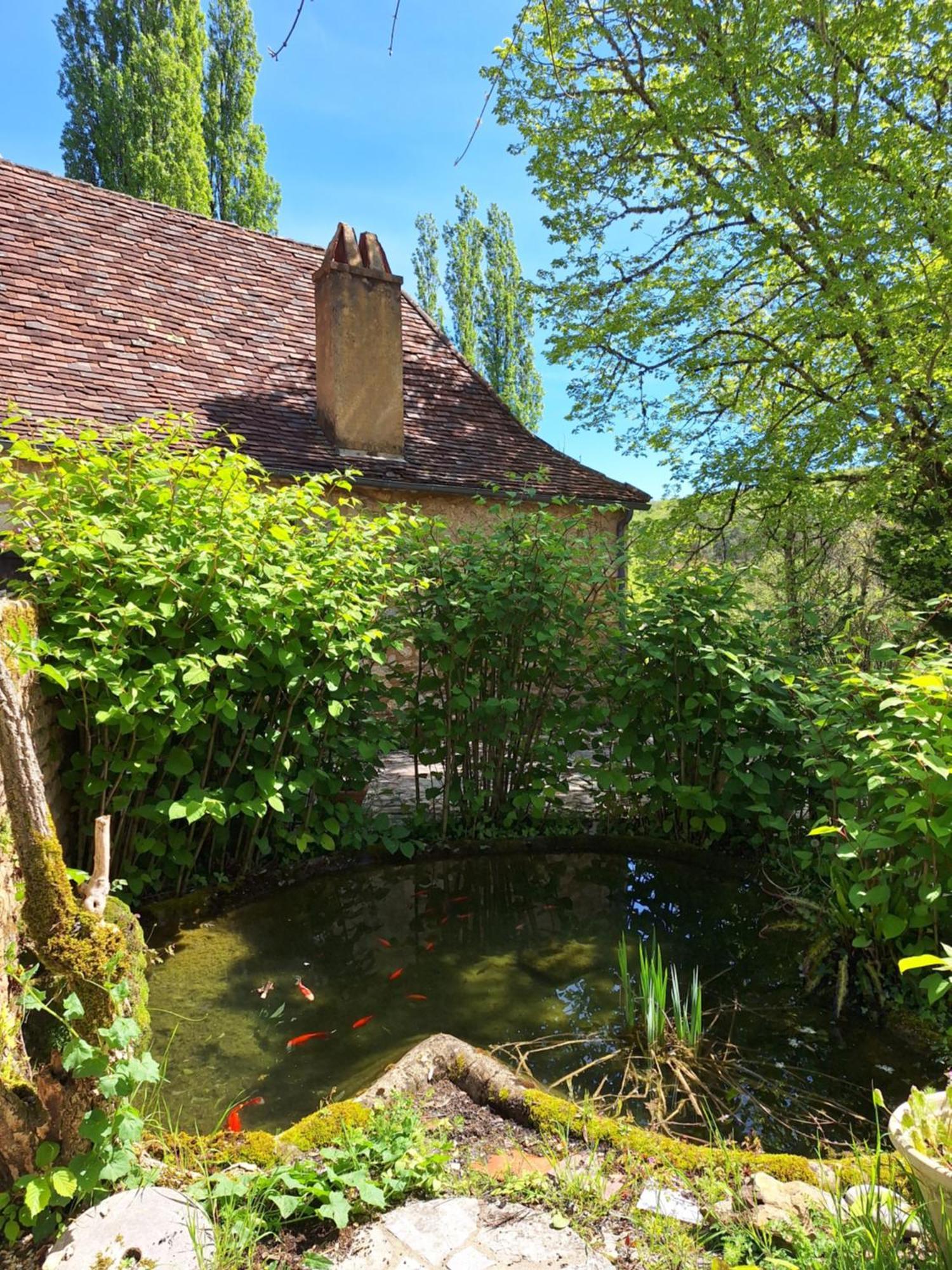 La Ferme Du Soleillal - Adult Only Hostel Campagne  ภายนอก รูปภาพ